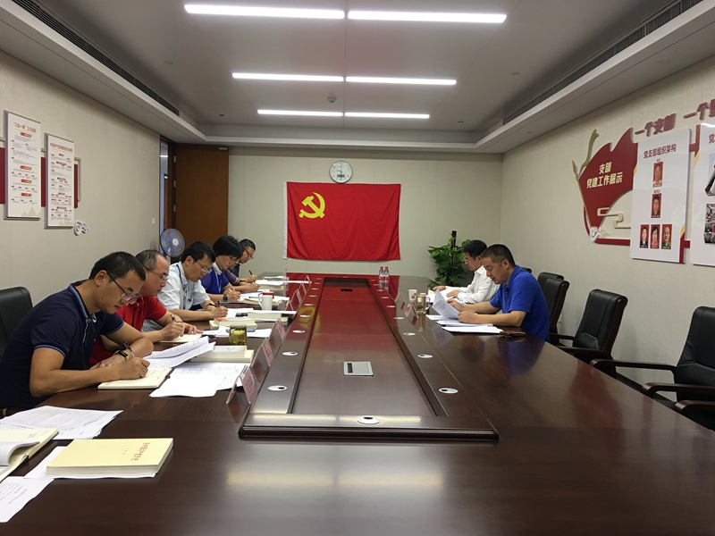 市审计局投资处党支部召开党史学习教育专题组织生活会