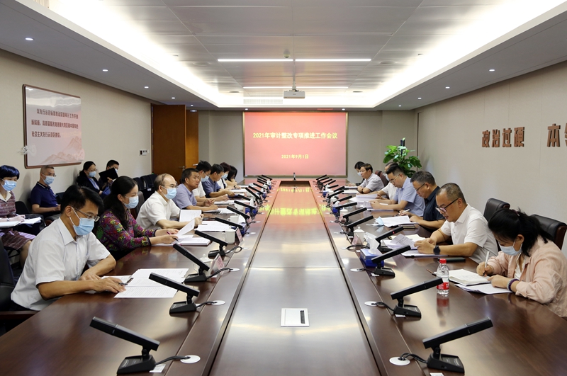 9.1_审计整改专项推进工作会议（2）_@sn@.jpg