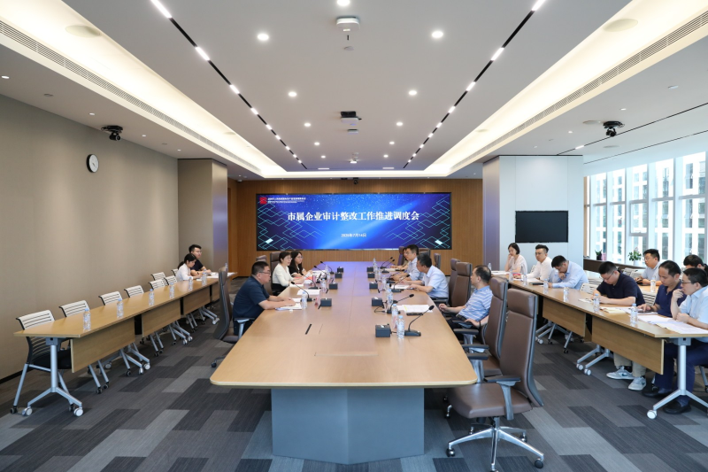 市审计局整改监督处现场指导推动审计查出问题整改到位 