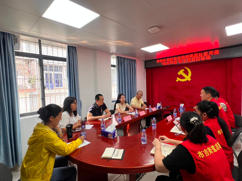 市审计局经责二处党支部赴挂点联系社区开展志愿活动 