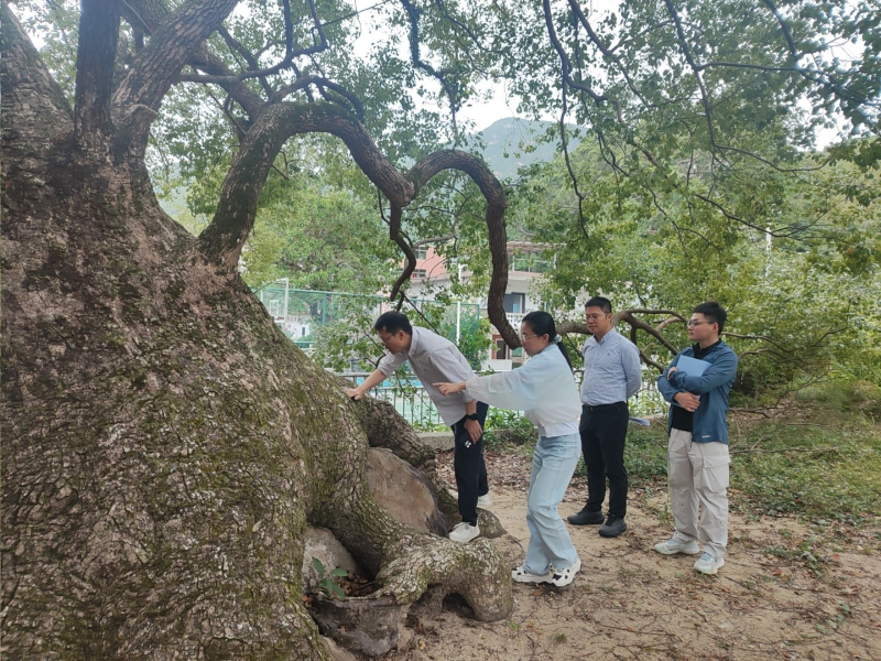 市审计局资环处深入现场核查林业资源保护管理情况