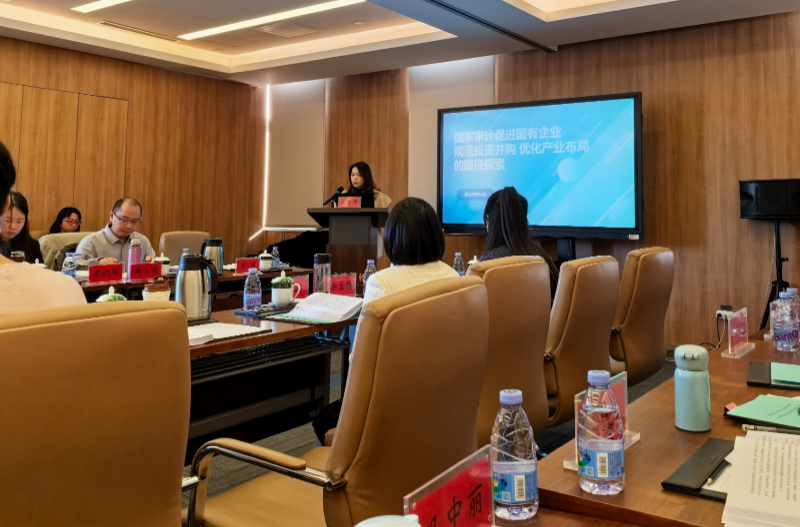 深圳聚焦国企深化改革审计课题成果在中国审计学会专题研讨会上交流
