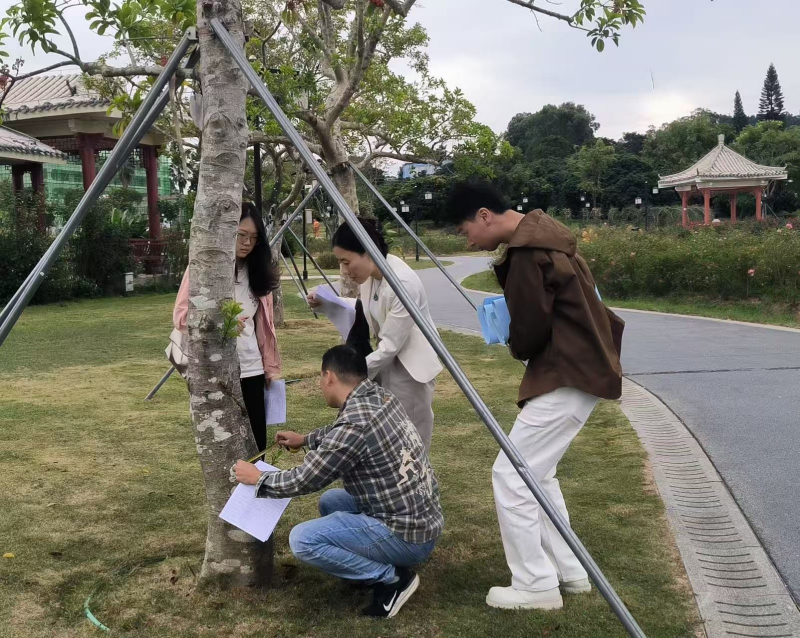 深圳宝安：实地踏勘细绘“生态绿” 扎实开展绿美政策资金专项审计