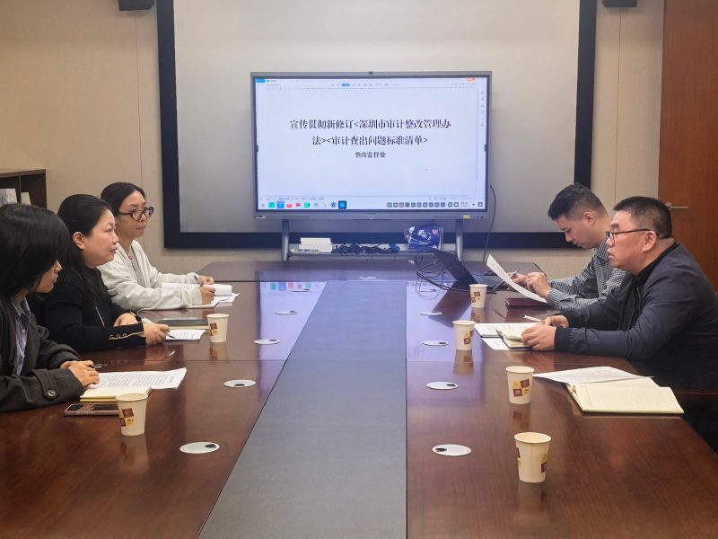 市审计局整改监督处宣传贯彻新修订审计整改制度