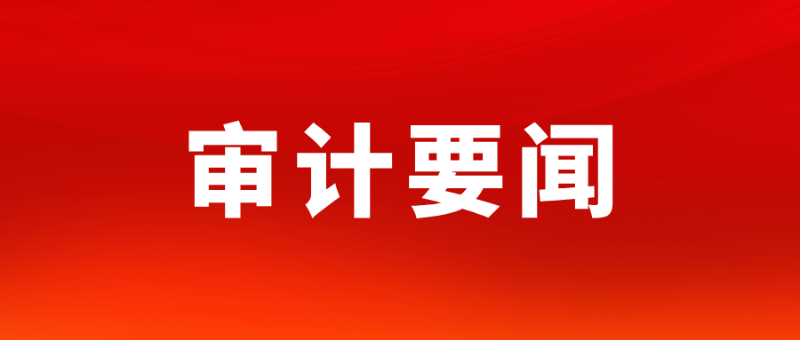 广东：以高质量审计监督护航广东经济社会高质量发展 